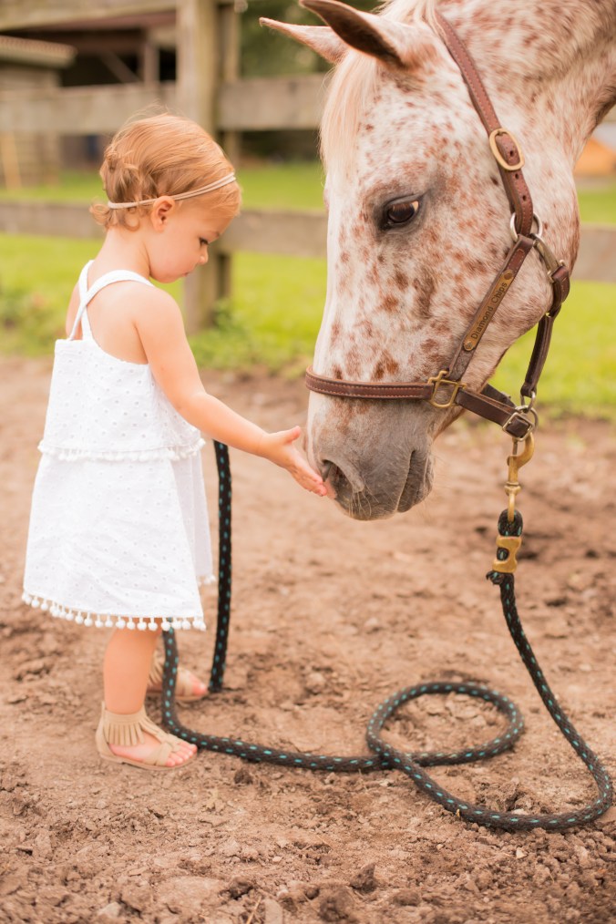 Family Horse Photo Session